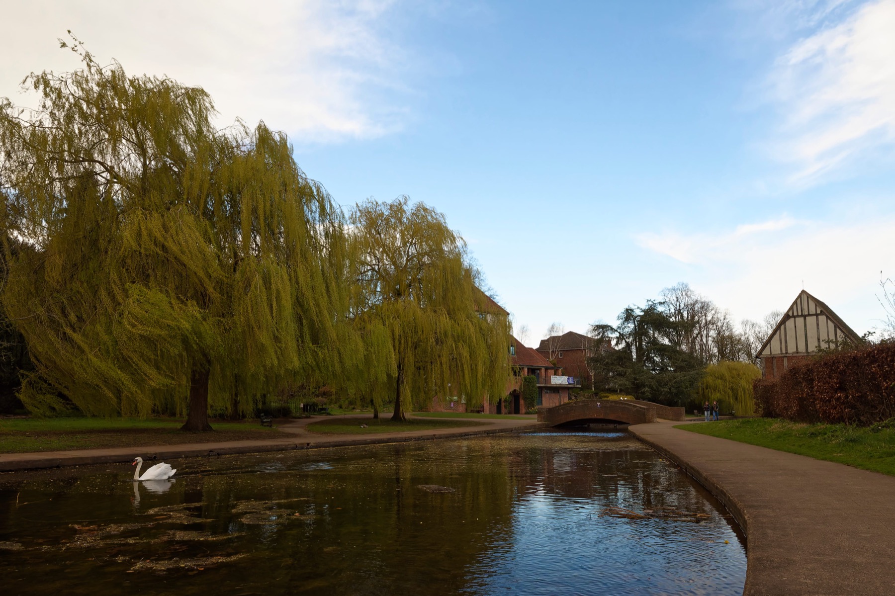 The lake, trees and paths in Rowntree Park, York